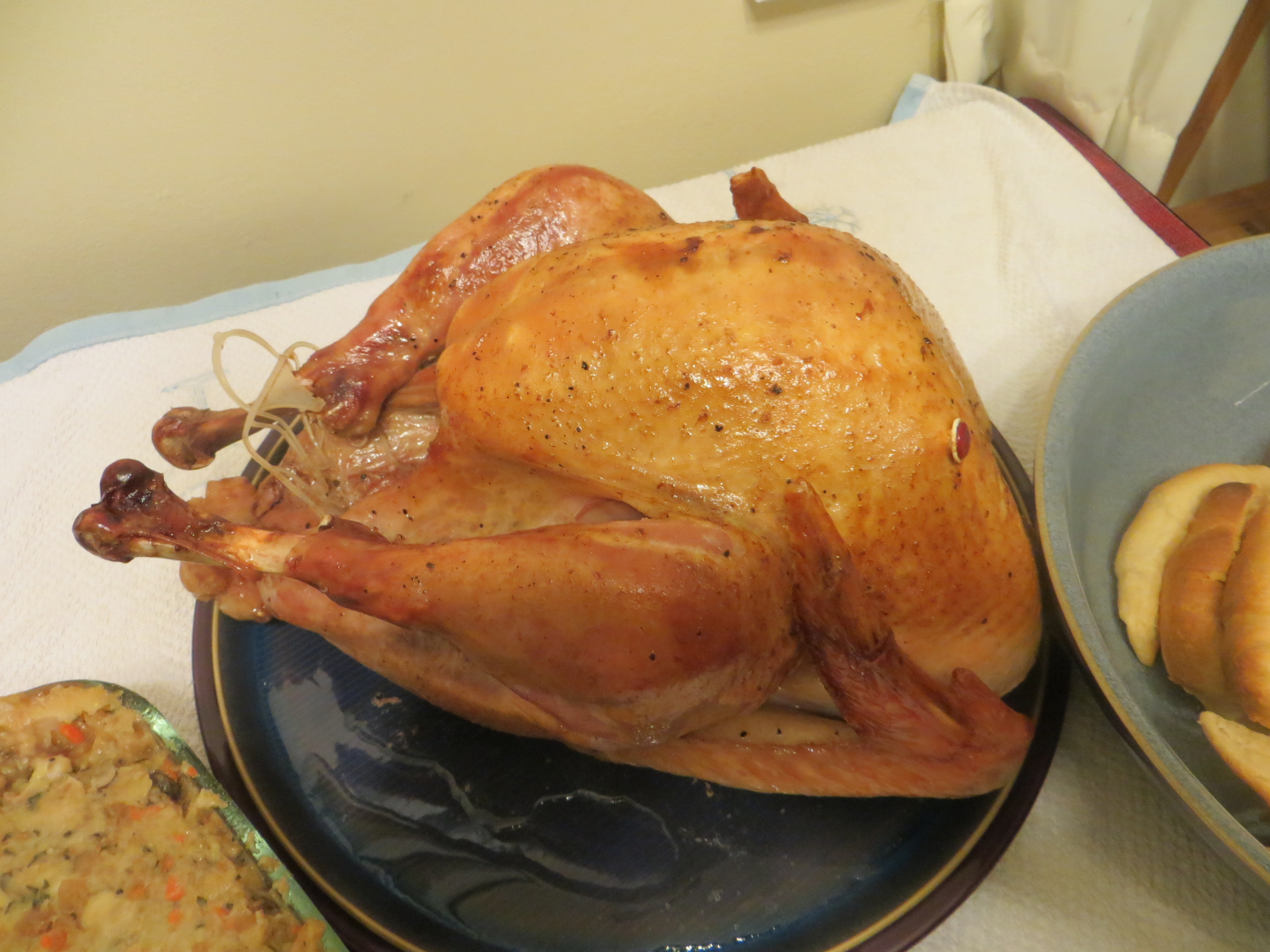 Our Thanksgiving turkey.