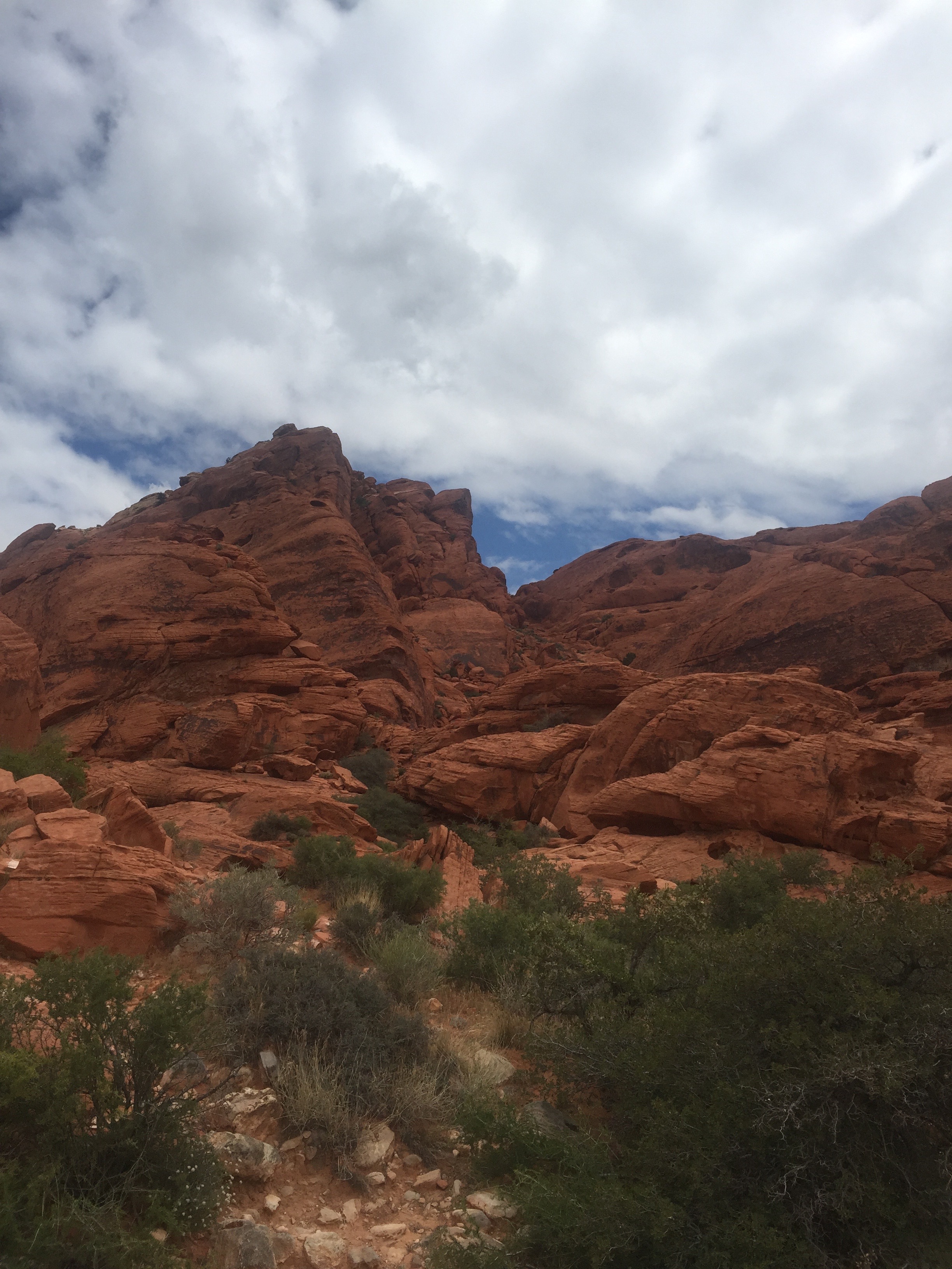 Red rock formations on the Calico Trail at Red Rocks National Recreation Area.