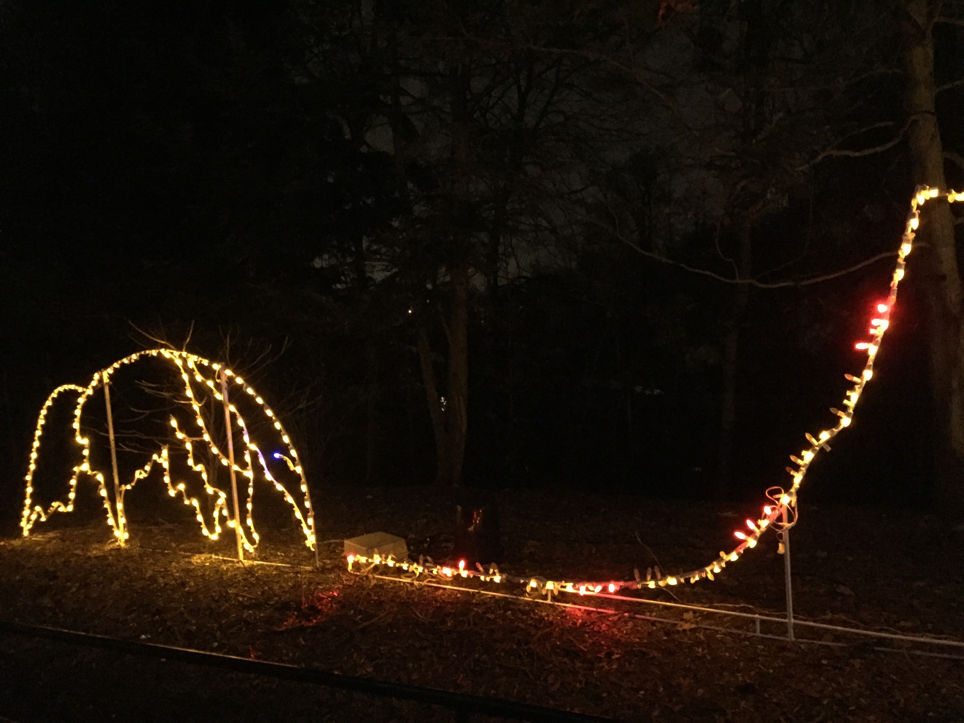 Anteater Zoolights