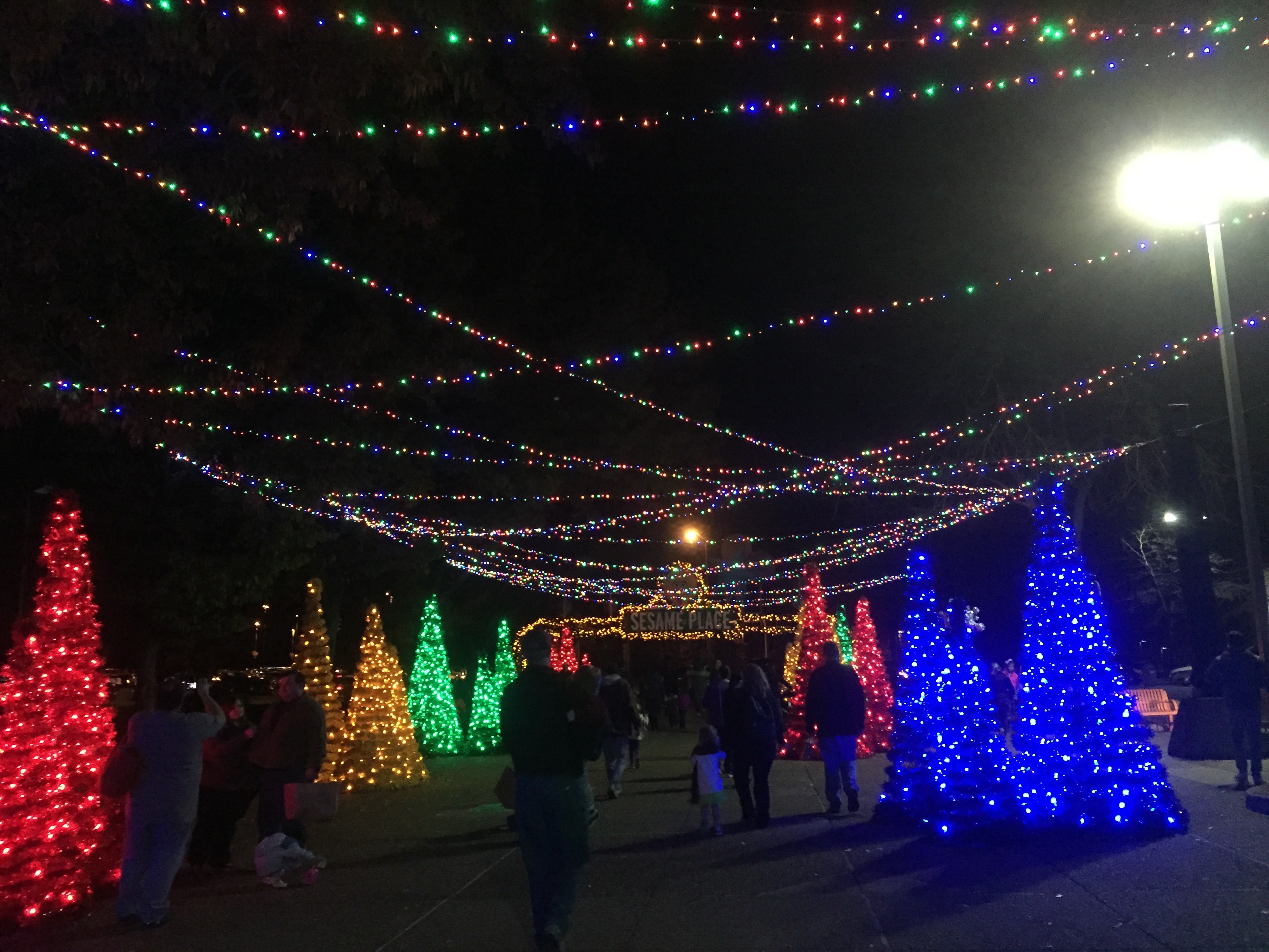 Christmas trees and strung lights lit up at the exit of Sesame Place