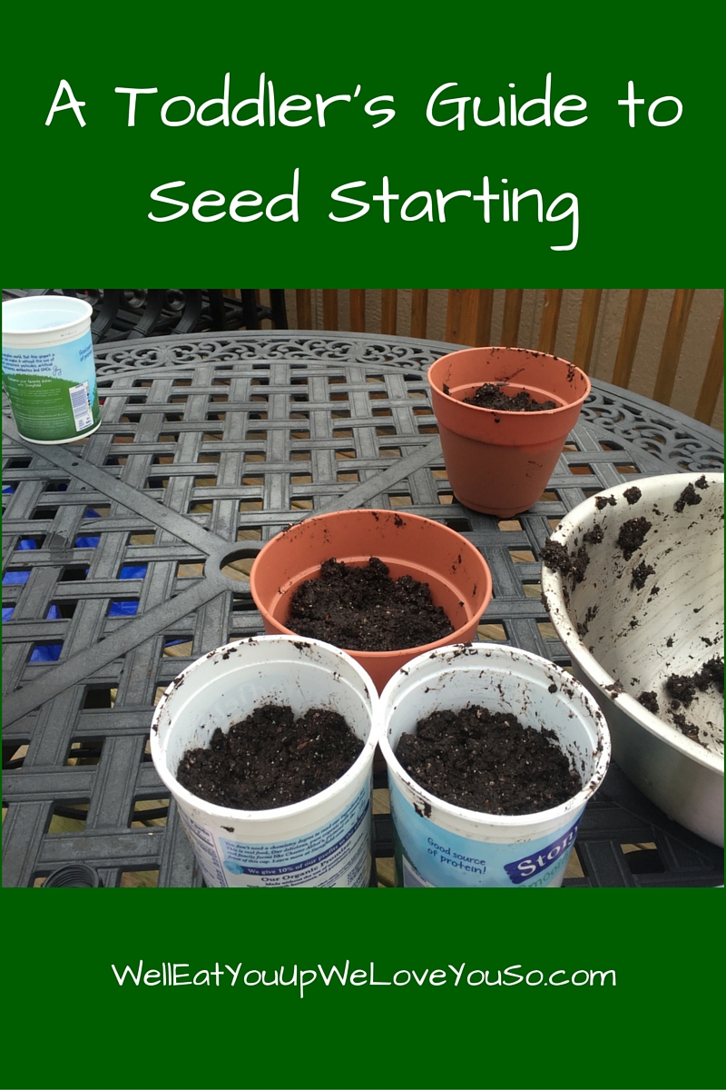 A Toddler's Guide to Seed Starting