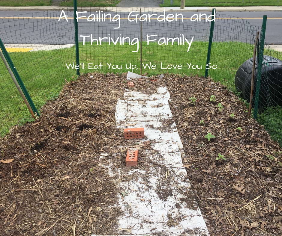 Text: "A Failing Garden and Thriving Family; We'll Eat You Up, We Love You So." Photo of a garden with a few very small plants growing in it, surrounded by a fence and mulched with straw and leaves.